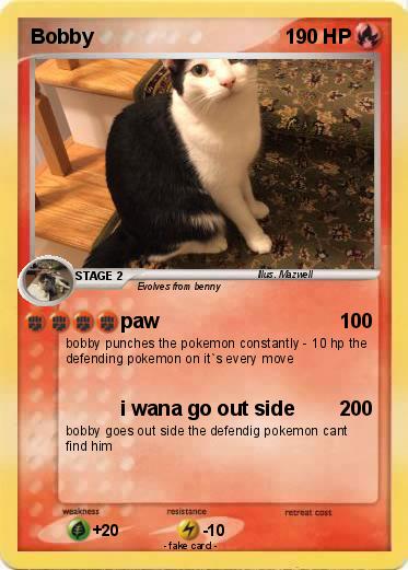 Pokemon Bobby