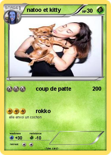 Pokemon natoo et kitty