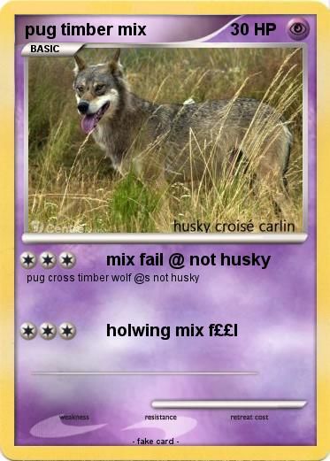 Pokemon pug timber mix