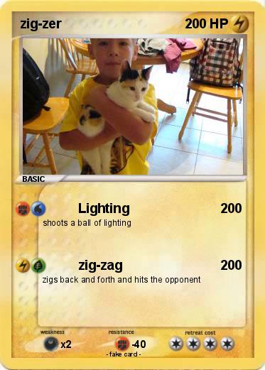 Pokemon zig-zer
