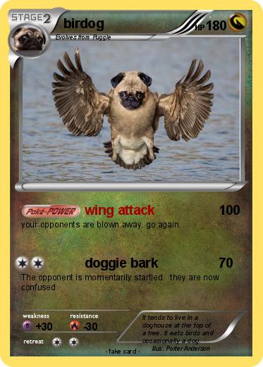 Pokemon birdog
