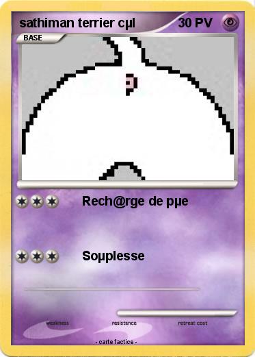 Pokemon sathiman terrier cµl