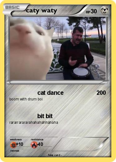 Pokemon caty waty