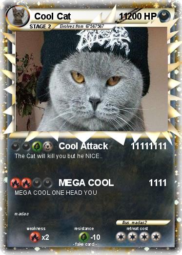 Pokemon Cool Cat                   11