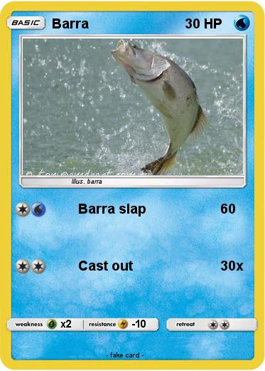 Pokemon Barra