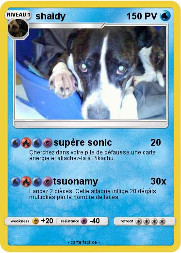 Pokemon shaidy