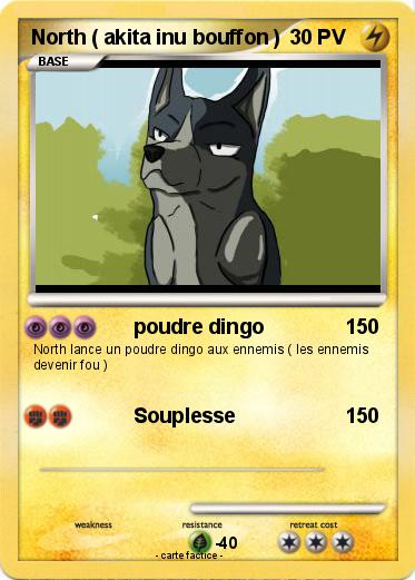 Pokemon North ( akita inu bouffon )