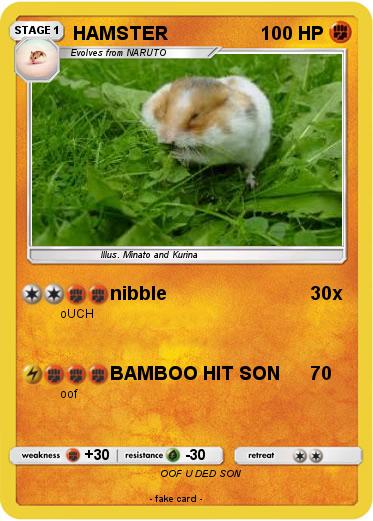 Pokemon HAMSTER