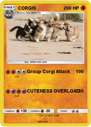 Pokemon CORGIS