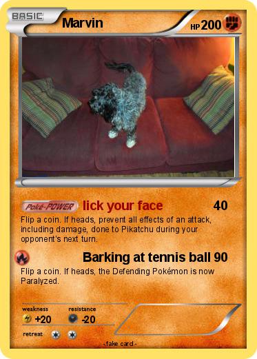 Pokemon Marvin