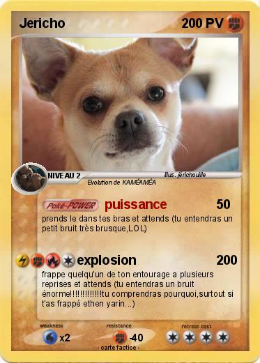 Pokemon Jericho