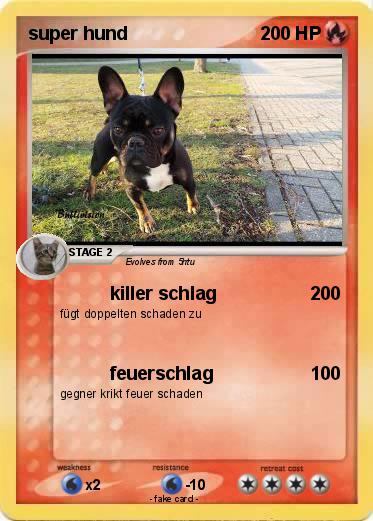 Pokemon super hund