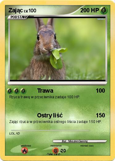 Pokemon Zając