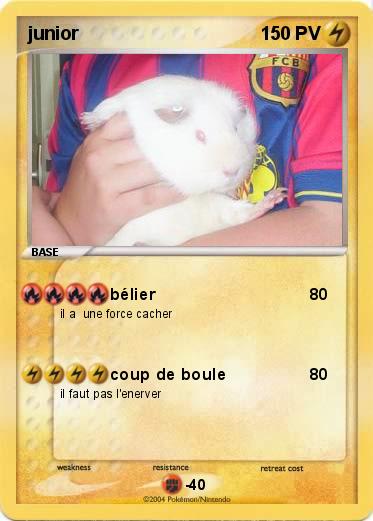 Pokemon junior
