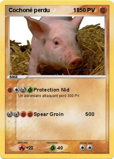 Pokemon Cochoné perdu               18