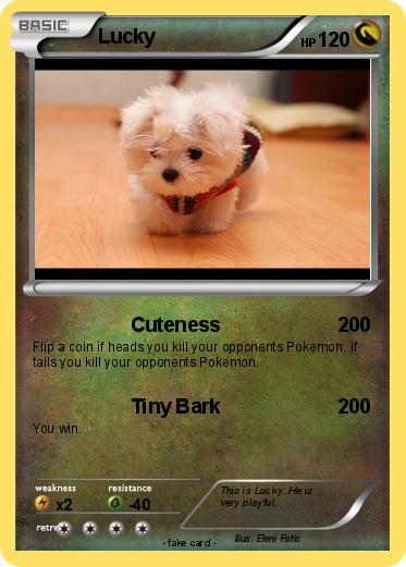 Pokemon Lucky