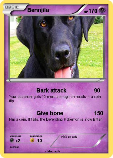 Pokemon Bennjila