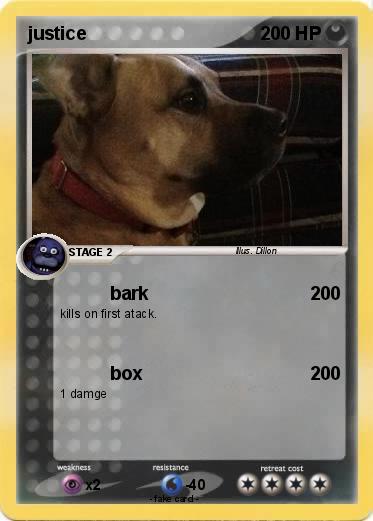 Pokemon justice