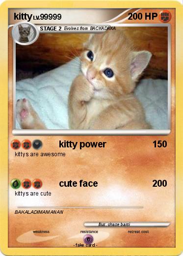 Pokemon kitty