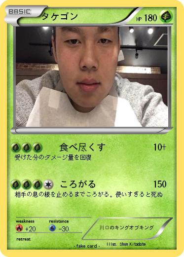 Pokemon タケゴン