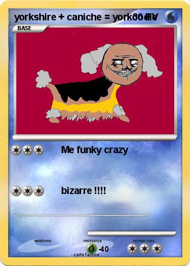 Pokemon yorkshire + caniche = yorkoodle