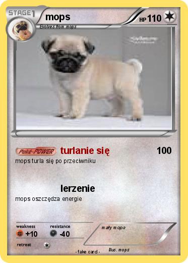 Pokemon mops