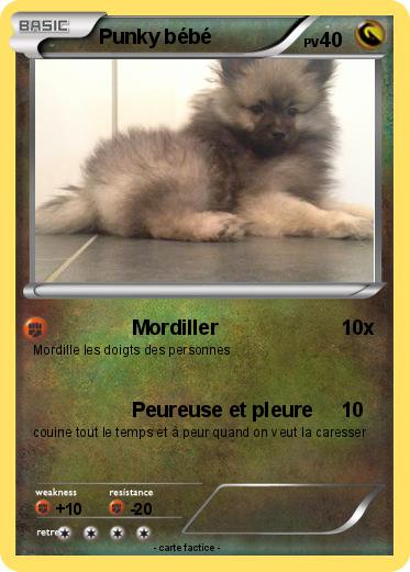 Pokemon Punky bébé