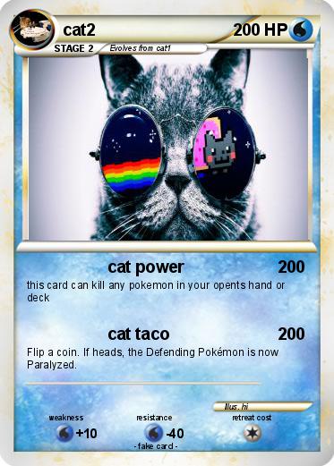Pokemon cat2