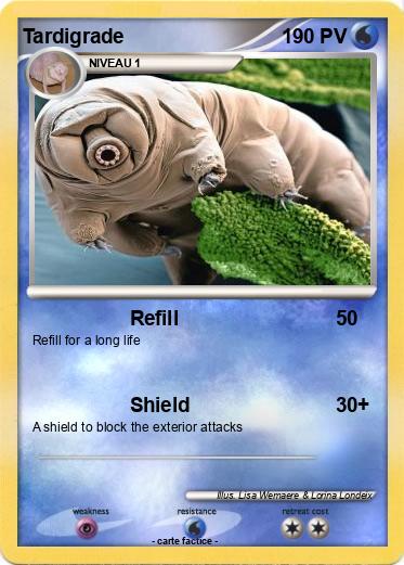 Pokemon Tardigrade