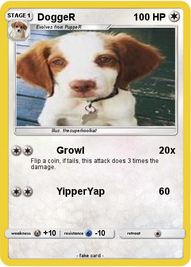 Pokemon DoggeR
