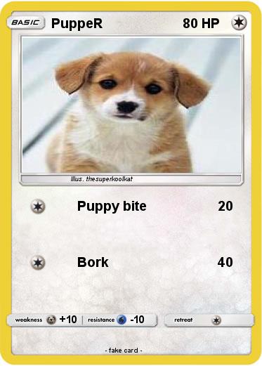 Pokemon PuppeR