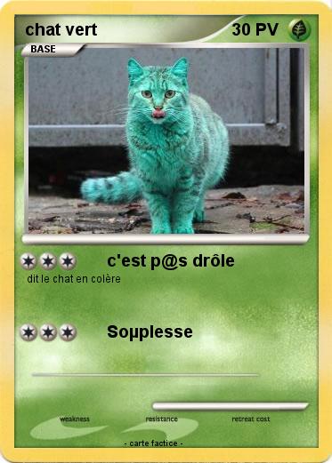 Pokemon chat vert