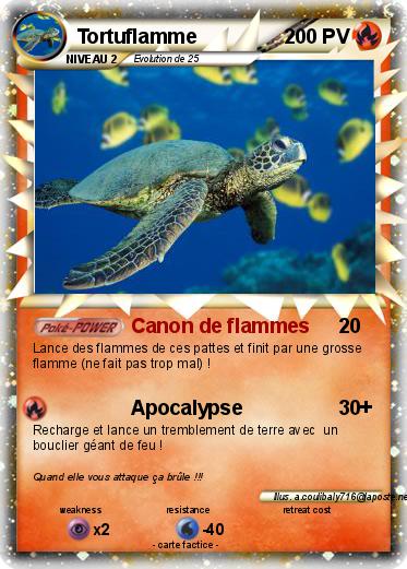 Pokemon Tortuflamme