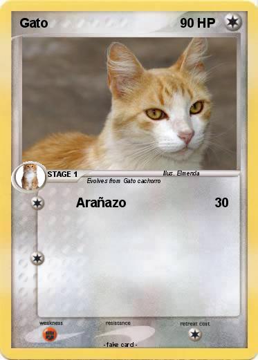 Pokemon Gato