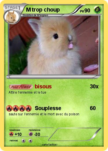 Pokemon M trop choup