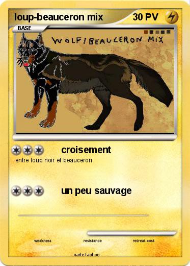 Pokemon loup-beauceron mix