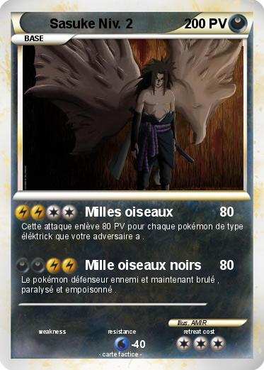Pokemon Sasuke Niv. 2