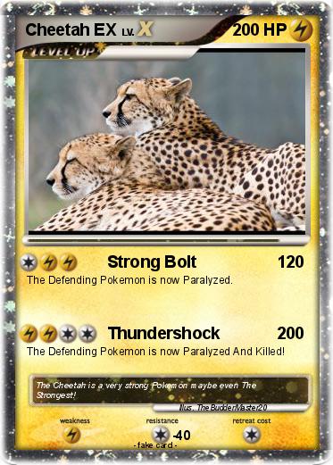 Pokemon Cheetah EX
