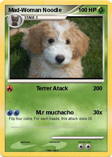 Pokemon Mad-Woman Noodle