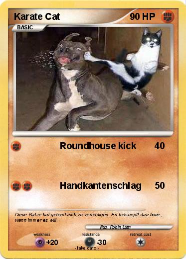 Pokemon Karate Cat