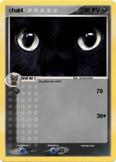 Pokemon chat4
