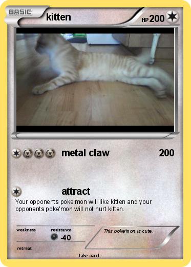 Pokemon kitten