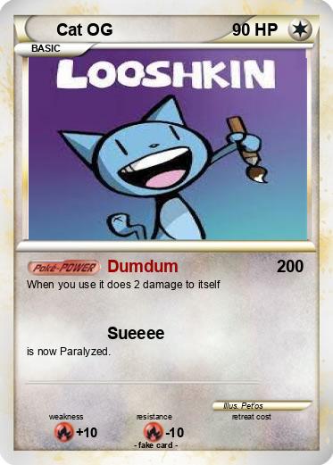 Pokemon Cat OG