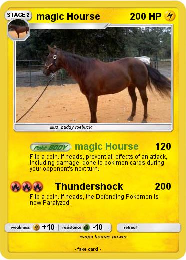 Pokemon magic Hourse