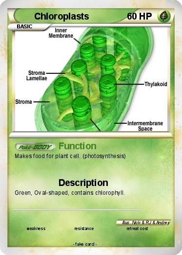 Pokemon Chloroplasts