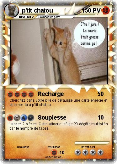 Pokemon p'tit chatou