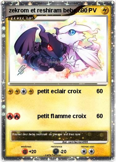 Pokemon zekrom et reshiram bebe