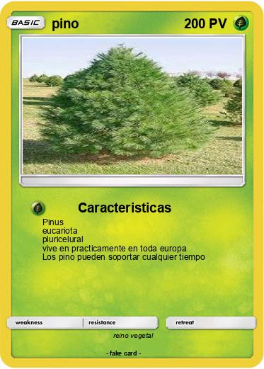 Pokemon pino