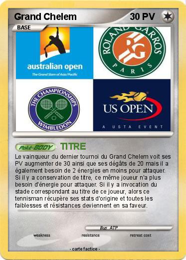 Pokemon Grand Chelem