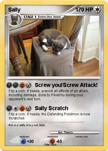 Pokemon Sally